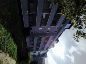 IMG_20211019_111244